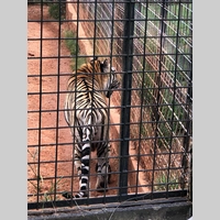 Looking for a roommate in South Atl - Atlanta