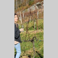 Looking for a roommate in Jersey City / Hoboken, Brooklyn, Manhattan - New York